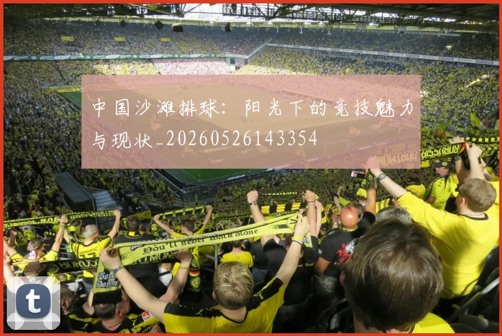 中国沙滩排球：阳光下的竞技魅力与现状_20260526143354